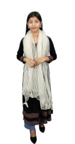 JAGMOOLYA PRODUCTS Clothing Women's Silver Embroidered Organza Net Dupatta for Girls (CREAM) - Image 3