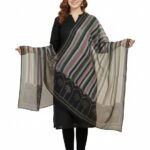 Elegant Striped Dupatta with Palm Tree Border Design, Multicolor Soft Silk dupatta for Women