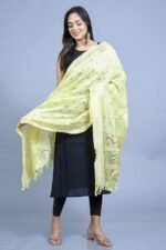 DIAMO Women's Woven Banarasi Silk Zari Dupatta/Chunni - Image 2