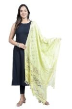 DIAMO Women's Woven Banarasi Silk Zari Dupatta/Chunni